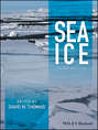 Sea Ice