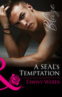 A SEAL\'s Temptation