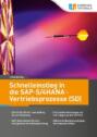 Schnelleinstieg in die SAP-S\/4HANA-Vertriebsprozesse (SD)